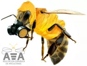 La organización de las abejas - Reina Kilama